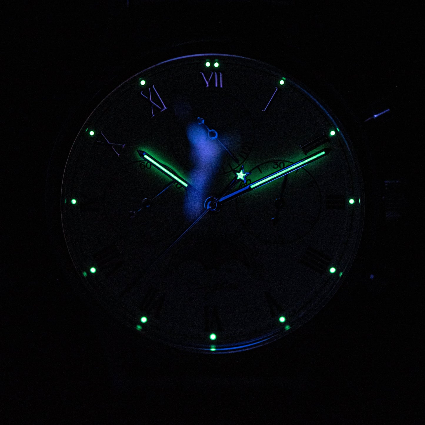 MoonPhase Master 389-2 Black Swan Neck Regulator